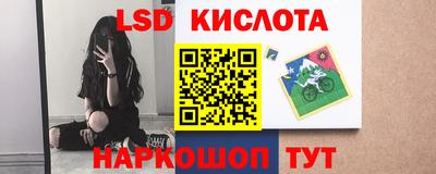 spice Гатчина