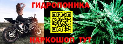 Альфа ПВП Бузулук