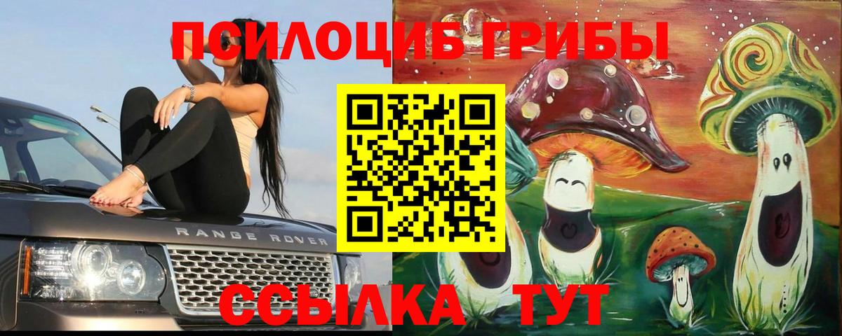 Псилоцибиновые грибы Psilocybe  Вход с VPN  Псилоцибиновые грибы Cubensis  Урюпинск 